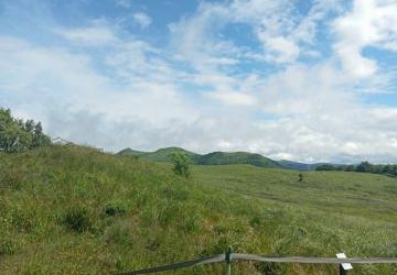 Wyprawa w Bieszczady